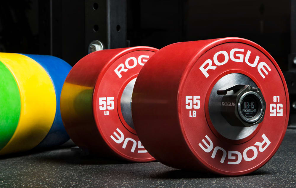 Rogue fitness shop dumbbell bumpers